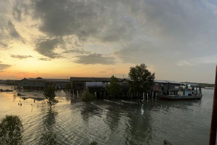 Jetty View